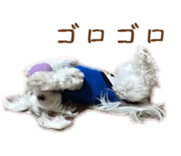 Gormart family 2 sticker #14922504