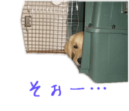 Gormart family 2 sticker #14922505