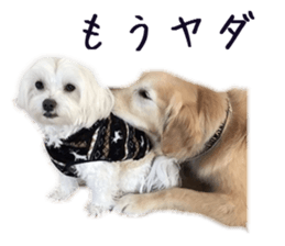 Gormart family 2 sticker #14922506