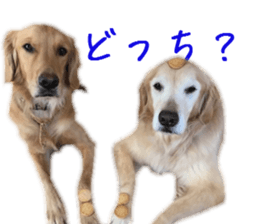 Gormart family 2 sticker #14922507