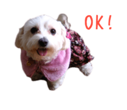 Gormart family 2 sticker #14922508