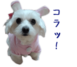 Gormart family 2 sticker #14922517