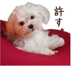 Gormart family 2 sticker #14922518