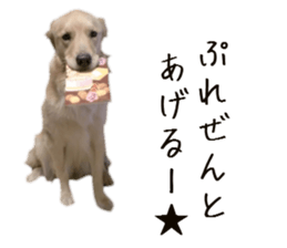 Gormart family 2 sticker #14922522