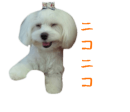 Gormart family 2 sticker #14922524