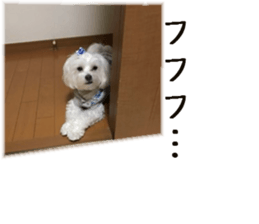 Gormart family 2 sticker #14922526