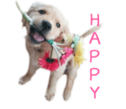 Gormart family 2 sticker #14922527