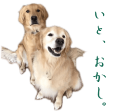 Gormart family 2 sticker #14922533