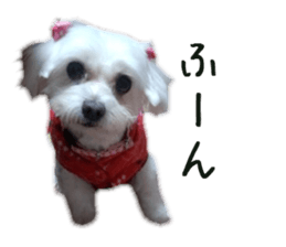 Gormart family 2 sticker #14922534