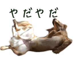 Gormart family 2 sticker #14922540