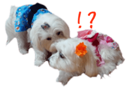 Gormart family 2 sticker #14922541