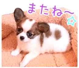 my dog hana baby era sticker #14923599