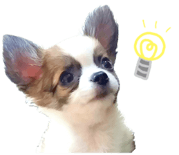 my dog hana baby era sticker #14923619