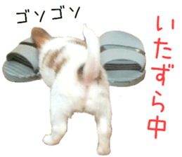 my dog hana baby era sticker #14923620