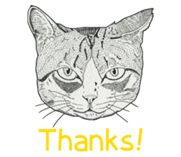 Monochrome cats (English) sticker #14925239