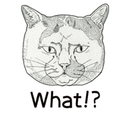 Monochrome cats (English) sticker #14925241