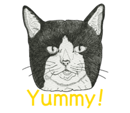 Monochrome cats (English) sticker #14925243