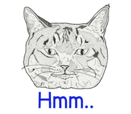 Monochrome cats (English) sticker #14925244
