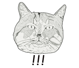 Monochrome cats (English) sticker #14925245