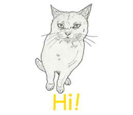 Monochrome cats (English) sticker #14925247