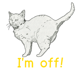 Monochrome cats (English) sticker #14925248