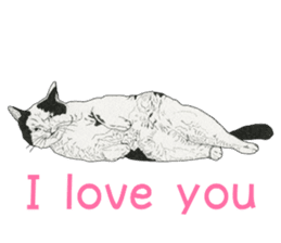 Monochrome cats (English) sticker #14925252