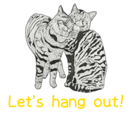 Monochrome cats (English) sticker #14925253