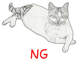 Monochrome cats (English) sticker #14925255
