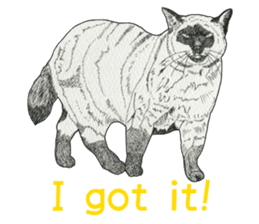 Monochrome cats (English) sticker #14925257