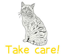 Monochrome cats (English) sticker #14925259