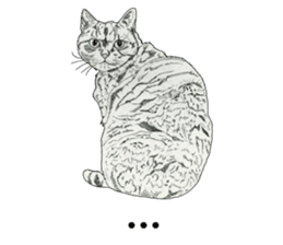 Monochrome cats (English) sticker #14925260