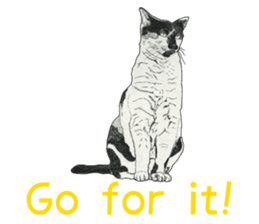 Monochrome cats (English) sticker #14925261