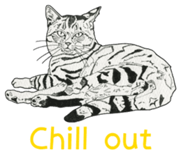 Monochrome cats (English) sticker #14925262
