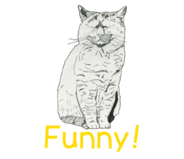 Monochrome cats (English) sticker #14925263