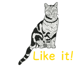 Monochrome cats (English) sticker #14925265
