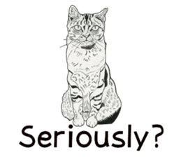 Monochrome cats (English) sticker #14925266