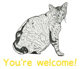 Monochrome cats (English) sticker #14925269