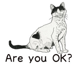Monochrome cats (English) sticker #14925270