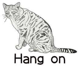 Monochrome cats (English) sticker #14925271