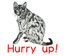 Monochrome cats (English) sticker #14925273