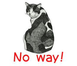 Monochrome cats (English) sticker #14925274