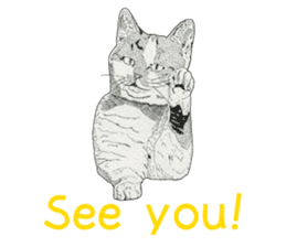Monochrome cats (English) sticker #14925276