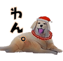 Hula Life "Kansai-ben" ver. sticker #14925460