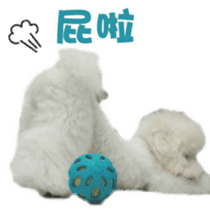 I Love Bichon Frise sticker #14925507