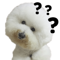 I Love Bichon Frise sticker #14925508