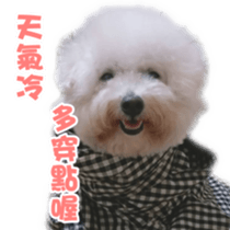I Love Bichon Frise sticker #14925509
