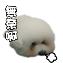 I Love Bichon Frise sticker #14925511