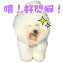 I Love Bichon Frise sticker #14925515