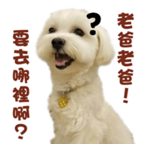 I Love Bichon Frise sticker #14925516