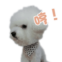 I Love Bichon Frise sticker #14925517